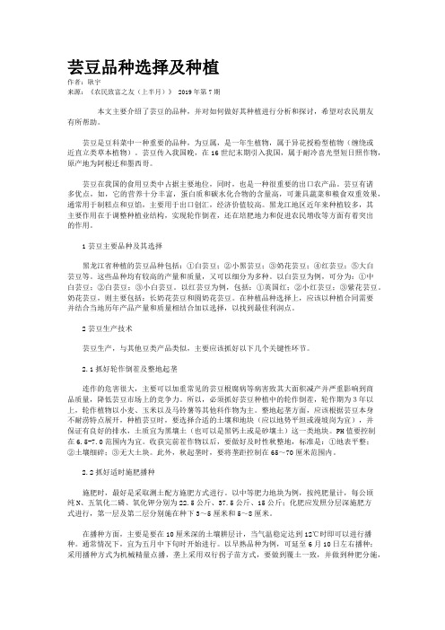 芸豆品种选择及种植