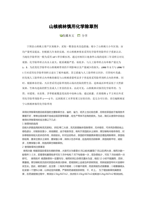 山核桃除草要点