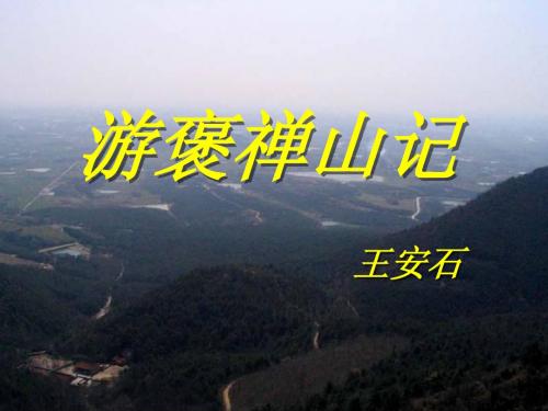 10.游褒禅山记