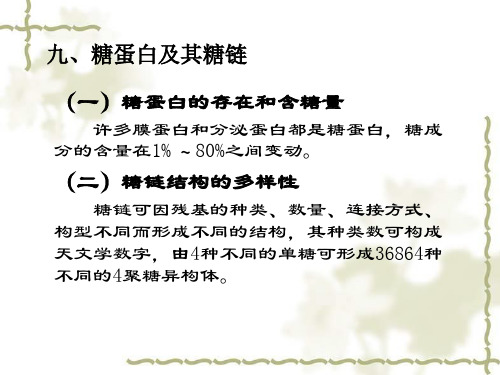 糖生物化学3