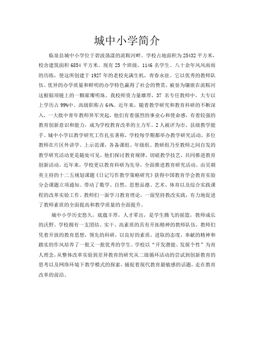 城中小学简介