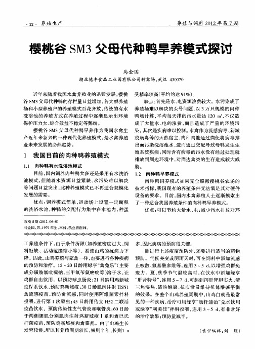 樱桃谷SM3父母代种鸭旱养模式探讨