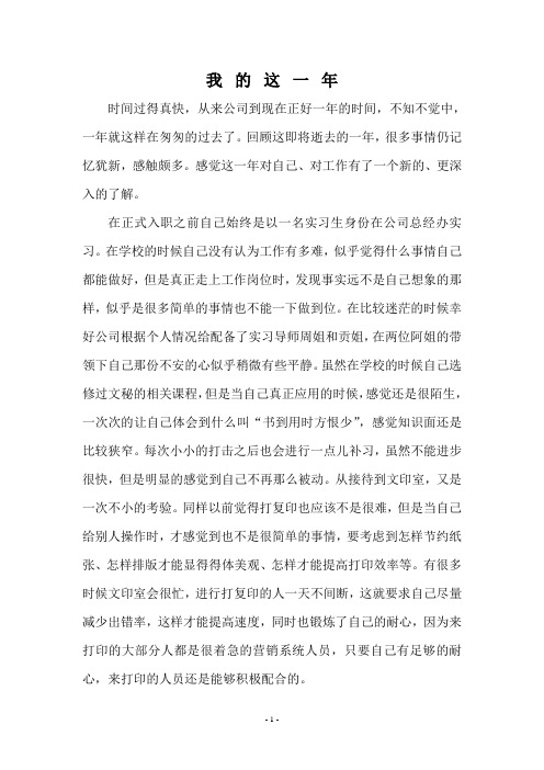 我的这一年