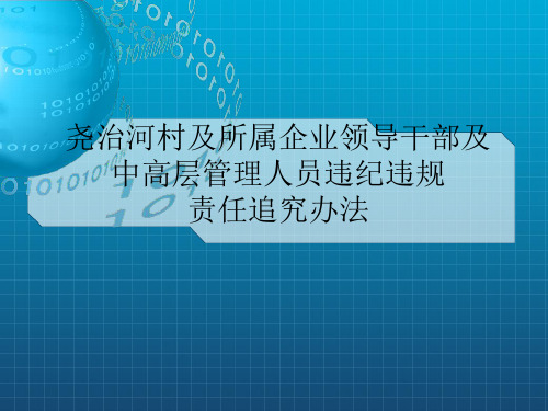 《责任追究办法》PPT课件