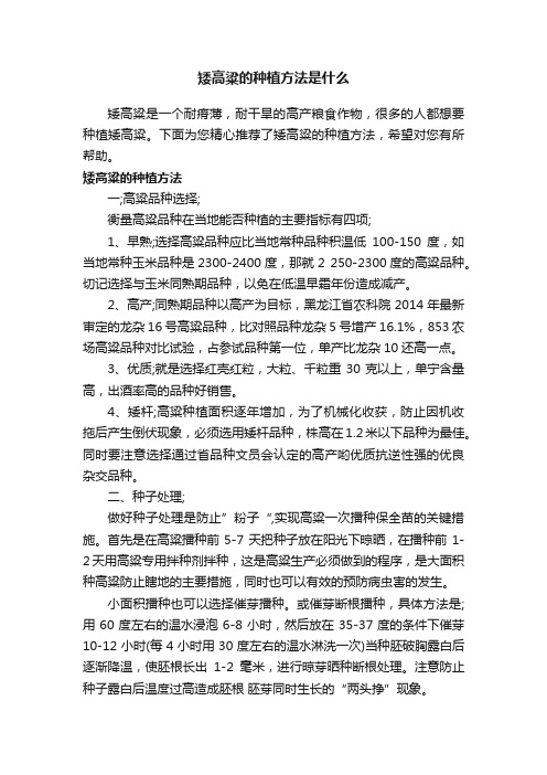 矮高粱的种植方法是什么