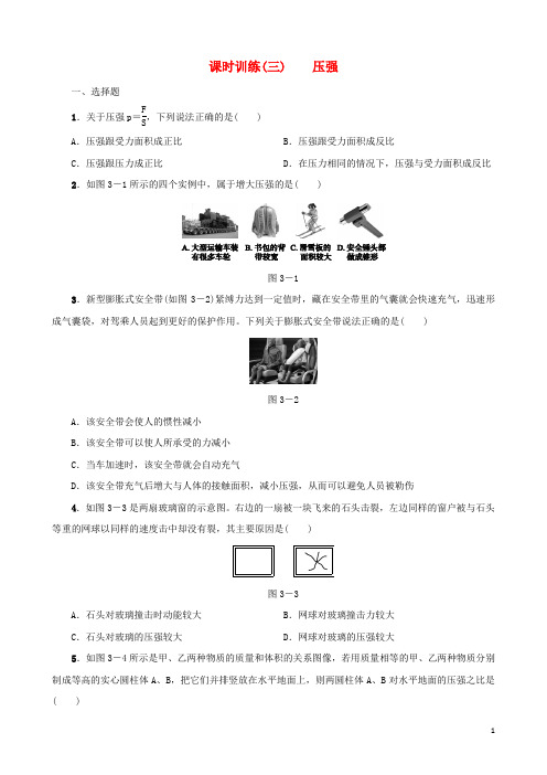 中考物理 第03课时 压强课时训练