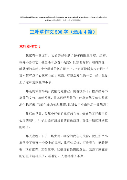 三叶草作文500字(通用4篇)