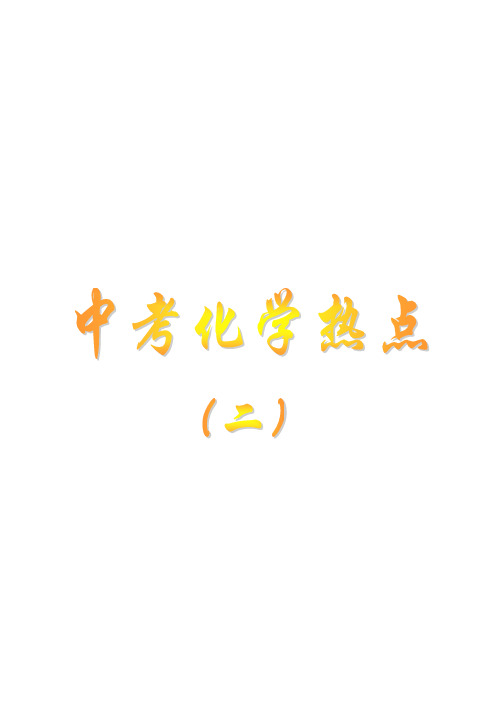 中考化学热点2