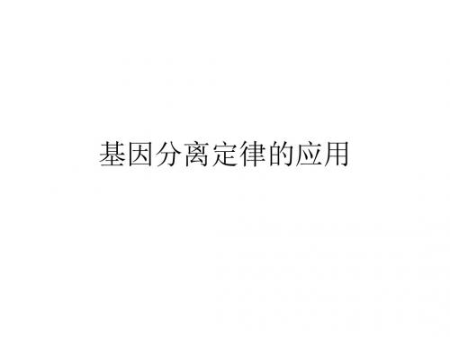 基因分离定律的应用