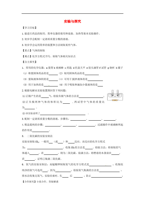 九年级化学下册期中复习实验与探究精品学案(新版)粤教