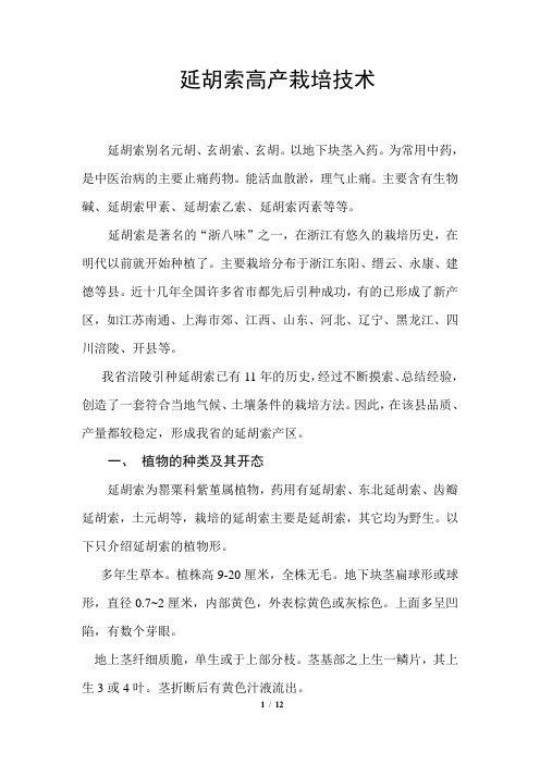 延胡索