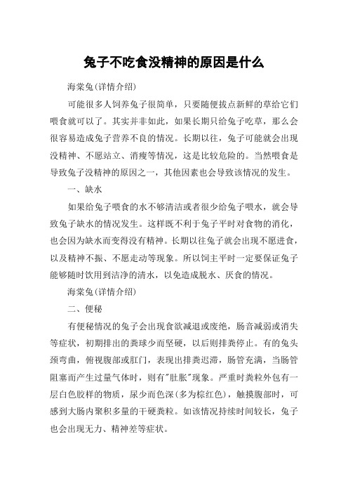 兔子不吃食没精神的原因是什么