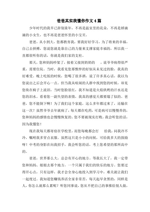 爸爸其实我懂你作文4篇