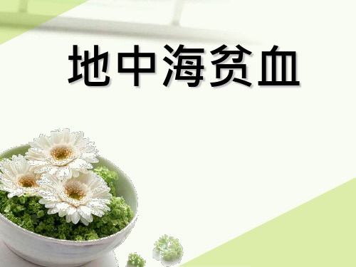 地中海贫血课件