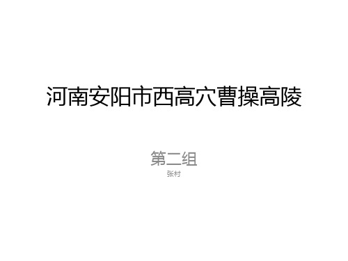 河南安阳市西高穴曹操w