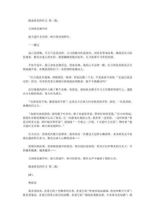 描述荷花的作文(20篇)