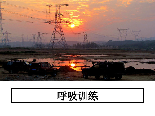 [整理]呼吸训练教学讲义PPT