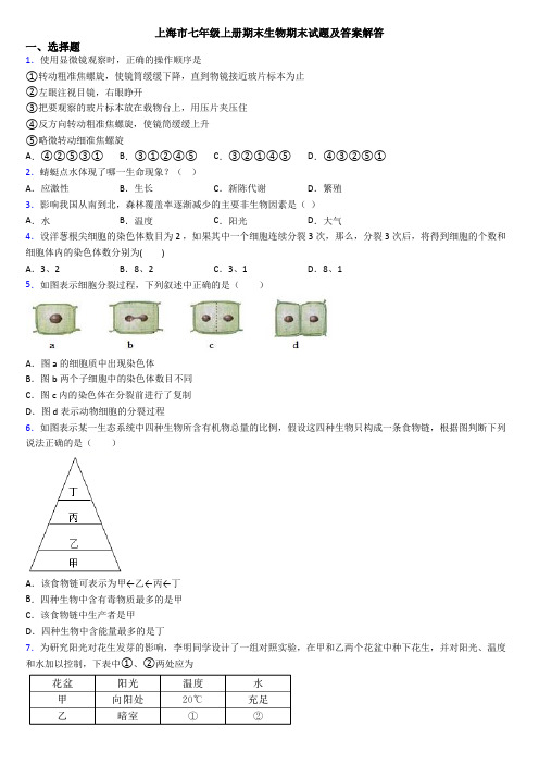 上海市七年级上册期末生物期末试题及答案解答