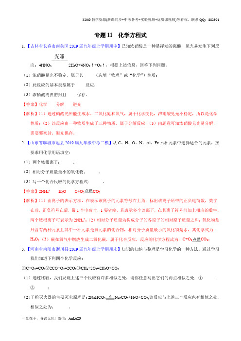 专题11 化学方程式(解析版)