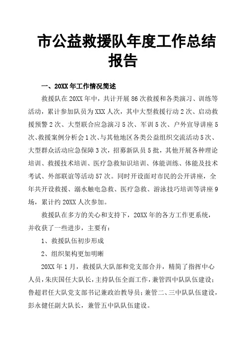 市公益救援队年度工作总结报告