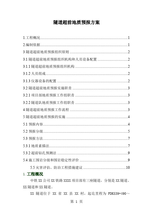 方案隧道超前地质预报方案共11页word资料
