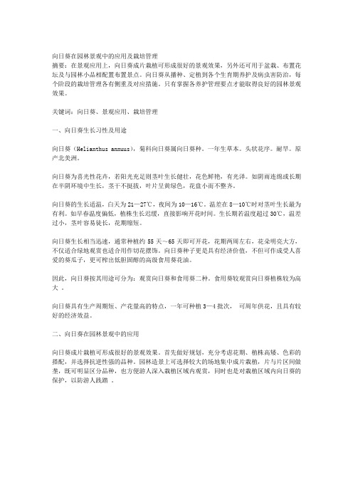 向日葵在园林景观中的应用及栽培管理