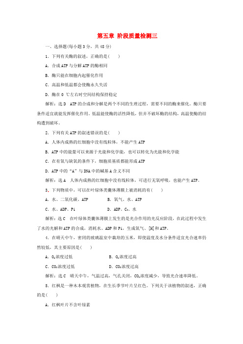 高中生物第五章阶段质量检测三新人教版必修1