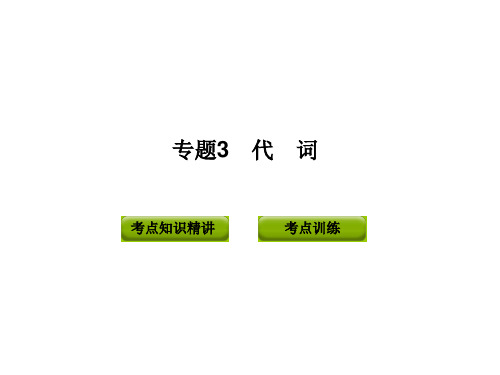 2012版中考复习英语精品课件(含11真题)语法专题3  代词