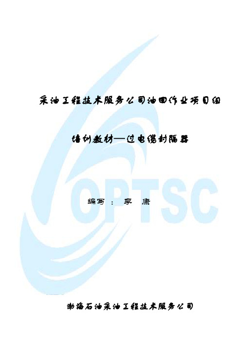 培训教材-过电缆封隔器