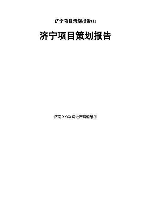 济宁项目策划报告(1)