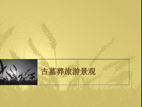 古墓葬旅游景观.