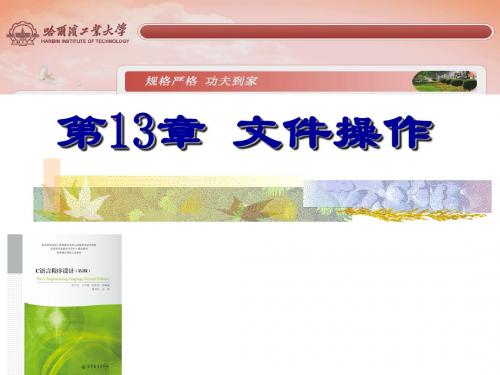 第13章  文件操作