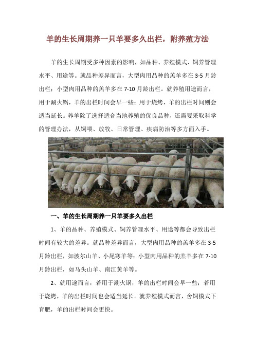羊的生长周期养一只羊要多久出栏,附养殖方法