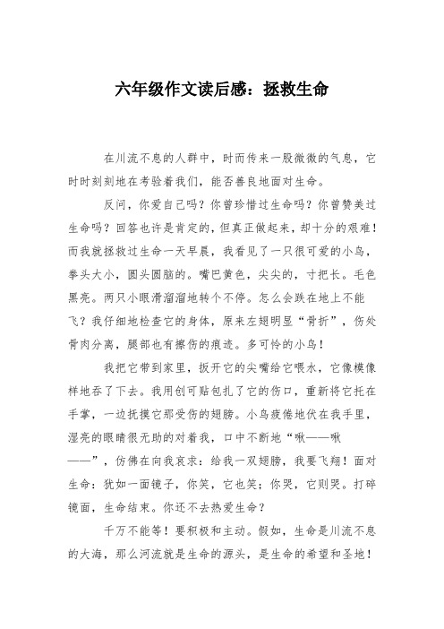 六年级作文读后感：拯救生命