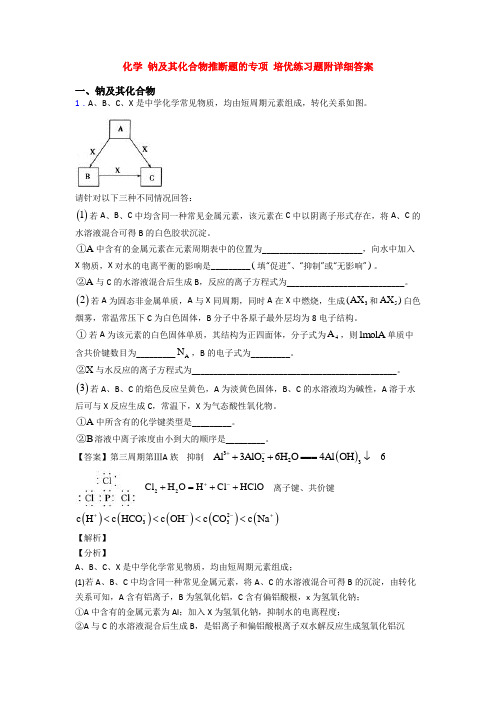 化学 钠及其化合物推断题的专项 培优练习题附详细答案