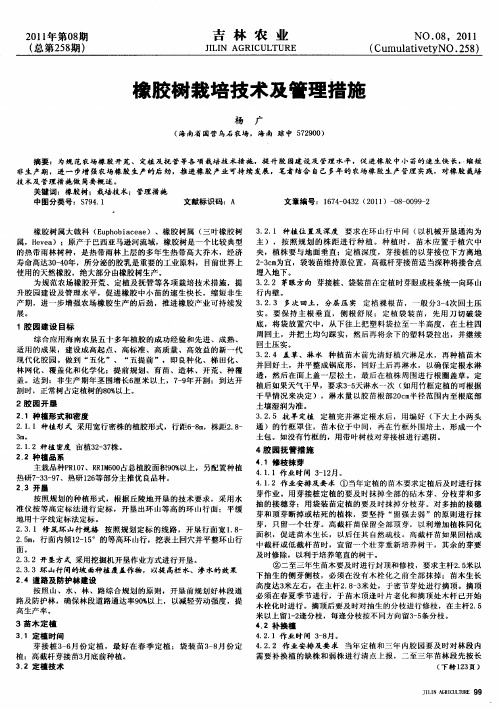 橡胶树栽培技术及管理措施