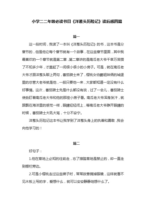 必读书目《洋葱头历险记》二年级读后感四篇
