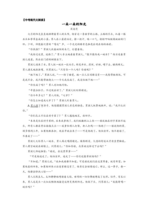 中考现代文阅读——周海亮《一朵一朵的阳光》