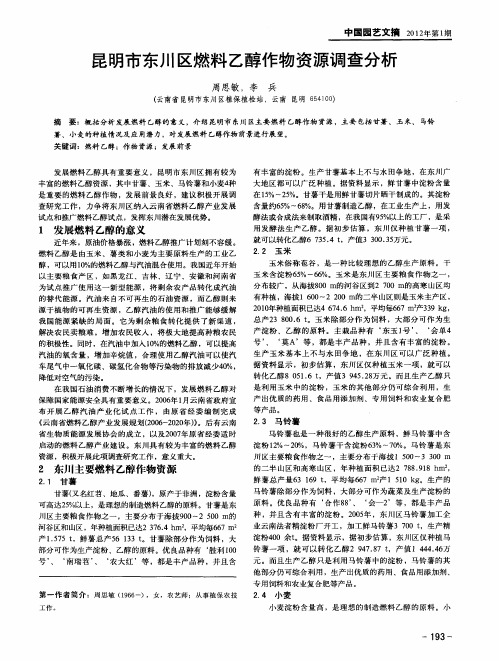 昆明市东川区燃料乙醇作物资源调查分析