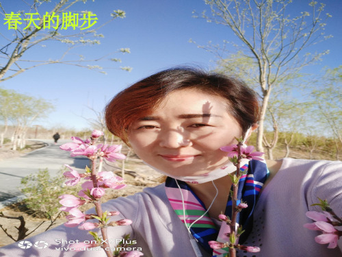 三年级下册语文《②理想的翅膀》 北师大版