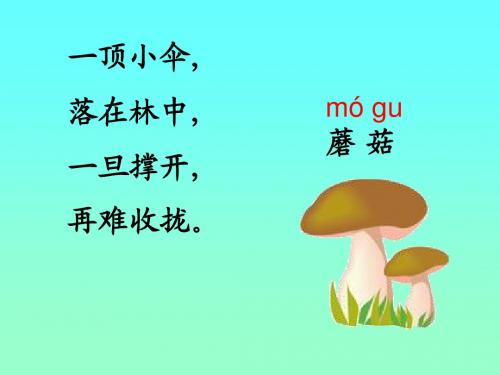 蘑菇该奖给谁.ppt