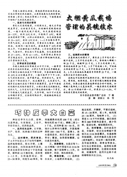 大棚黄瓜栽培管理的关键技术
