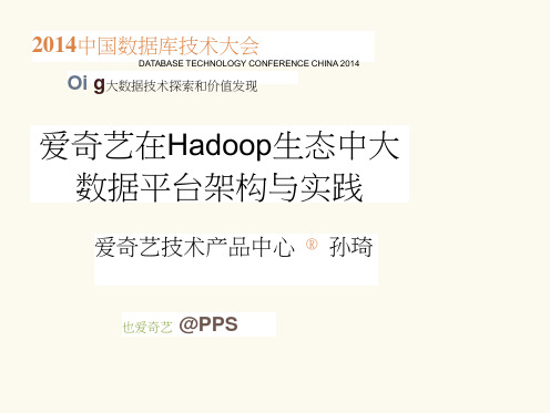 DTCC2014：爱奇艺在Hadoop生态中大数据平台架构与实践-孙琦_IT168文库(20200618070112)