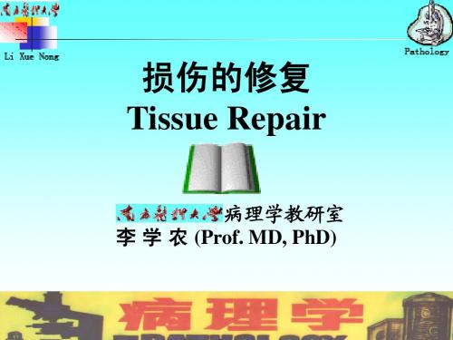 南方医科大学损伤专2