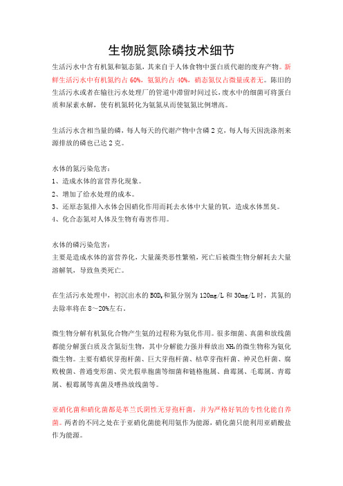 生物脱氮除磷技术细节