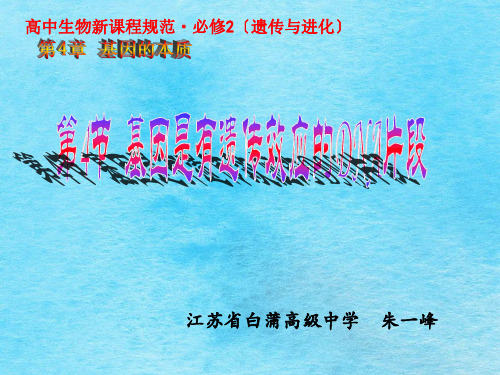 高中生物新课程标准必修2遗传与进化ppt课件