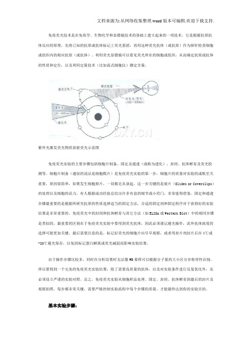 免疫荧光操作步骤及注意事项