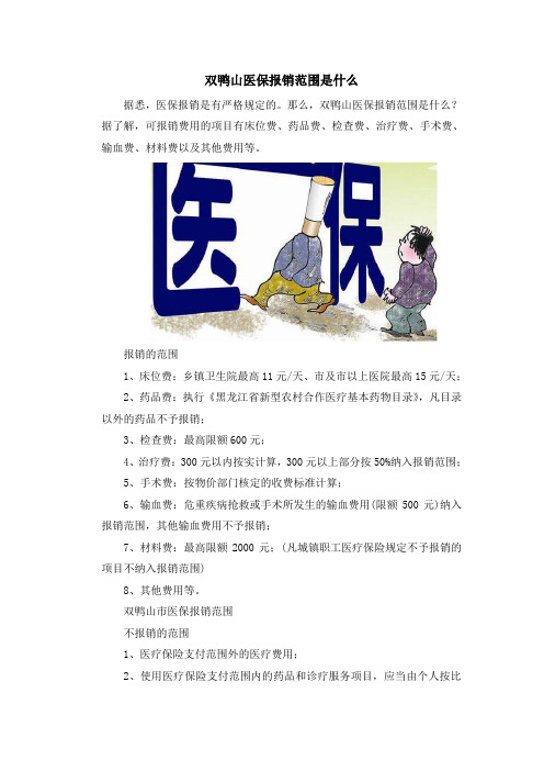 双鸭山医保报销范围是什么