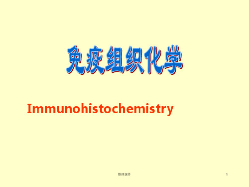 免疫组化的原理与操作