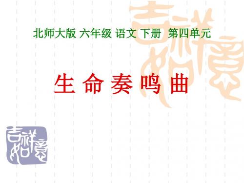 小学语文《生命奏鸣曲》课件